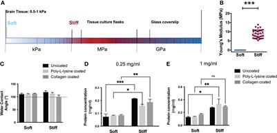 Substrate stiffness effect on molecular crosstalk of epithelial-mesenchymal transition mediators of human glioblastoma cells